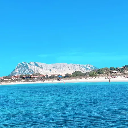 Porto Coda Cavallo Capo Coda Cavallo