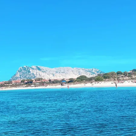 Porto Coda Cavallo Appartamento